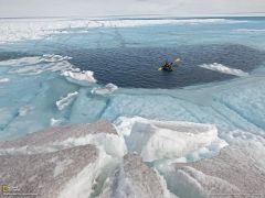 Tapeta National Geographic 431.jpg